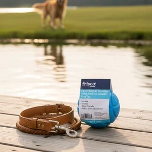 Frisco Blue Fetch Ball